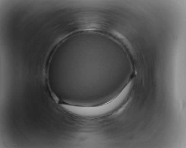 X0000089721457200707121422