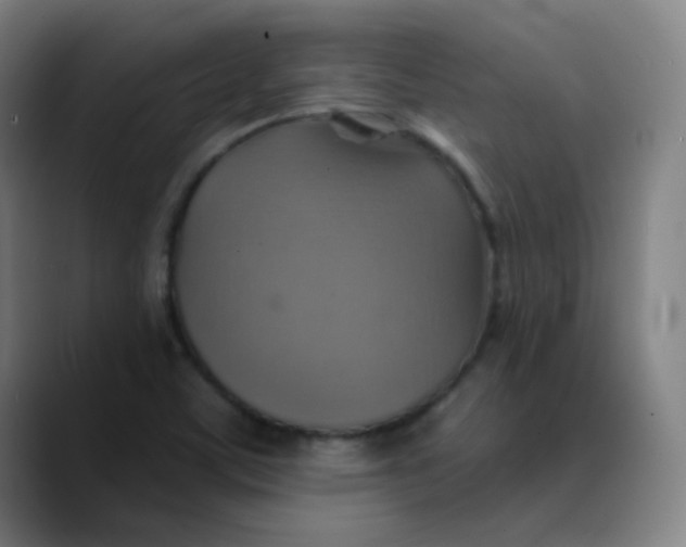 X0000089721459200707121422