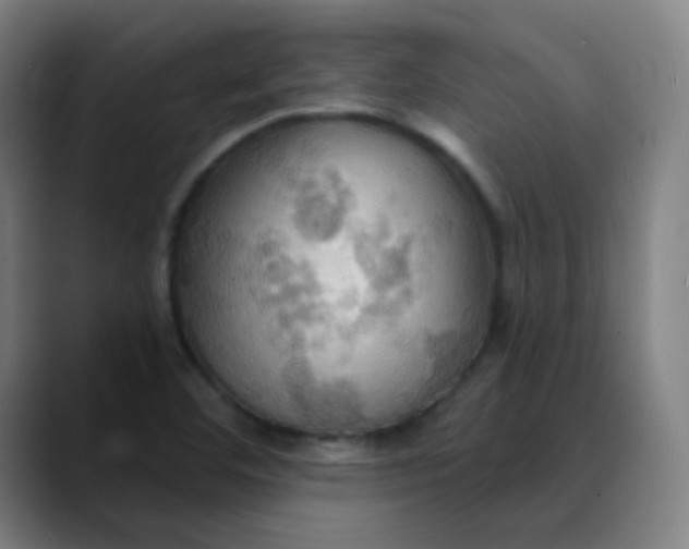 X0000089721460200707121422