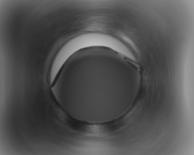 X0000089721461200707121422