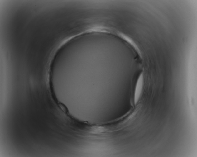 X0000089721463200707121422