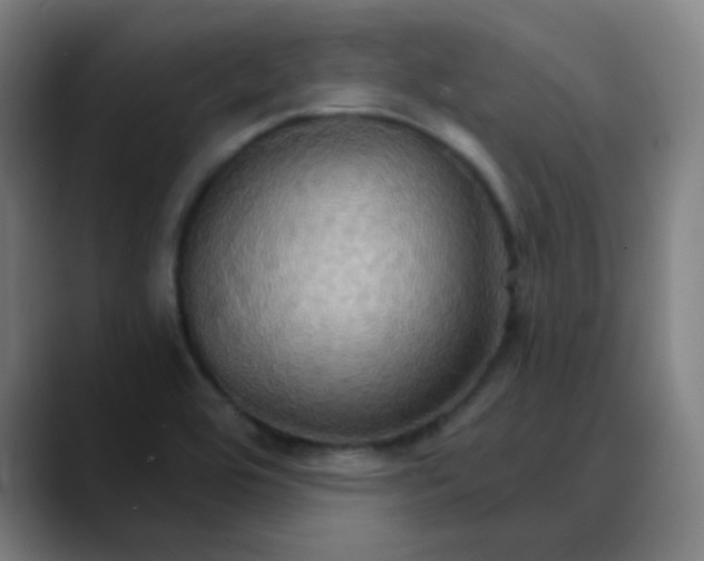 X0000089721464200707121422