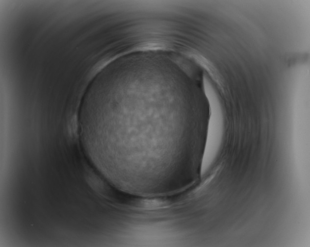 X0000089721465200707121422