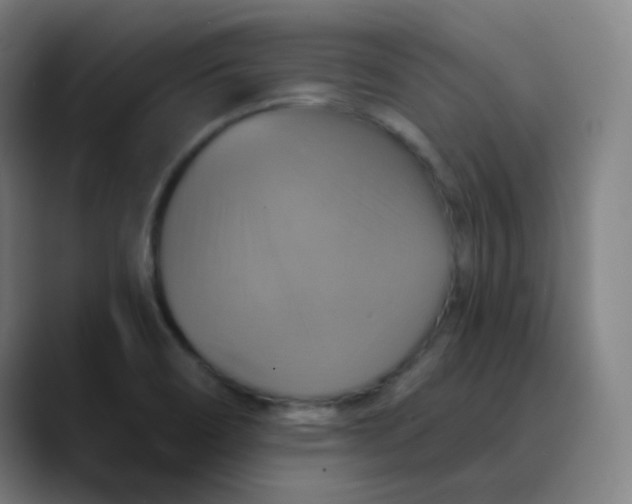 X0000089721466200707121422