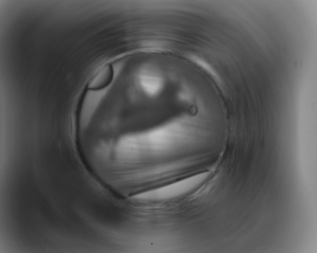 X0000089721467200707121422