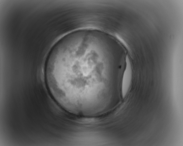 X0000089721468200707121422