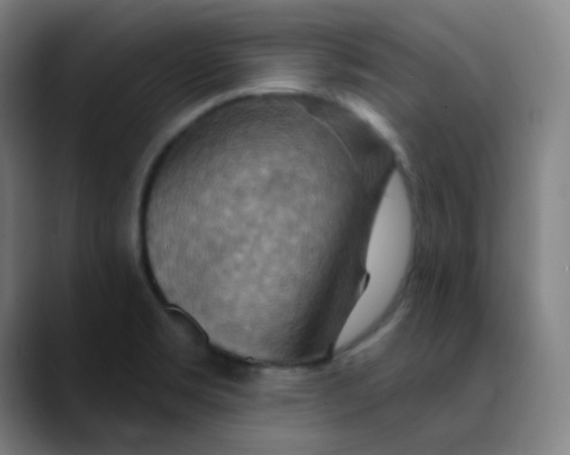 X0000089721469200707121422