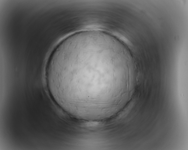 X0000089721470200707121422