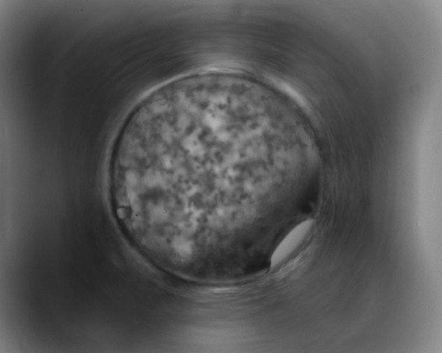 X0000089721471200707121422