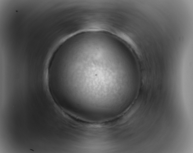 X0000089721472200707121422