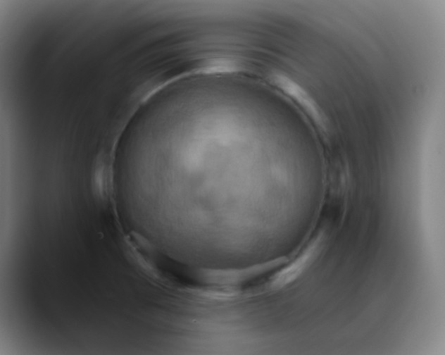 X0000089721473200707121422