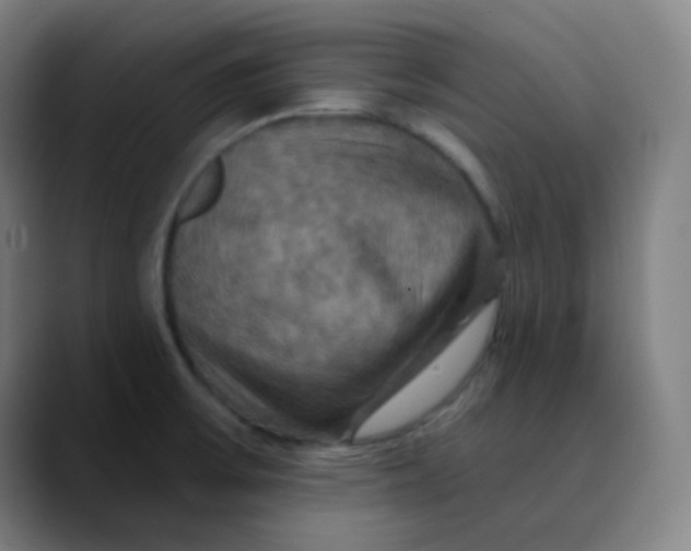 X0000089721475200707121422