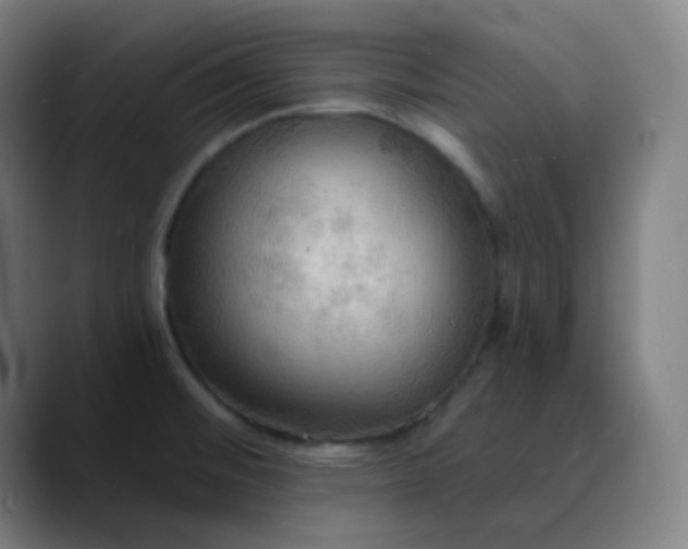 X0000089721476200707121422