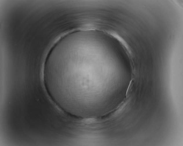 X0000089721477200707121422