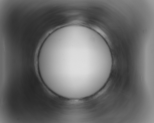 X0000089721478200707121422