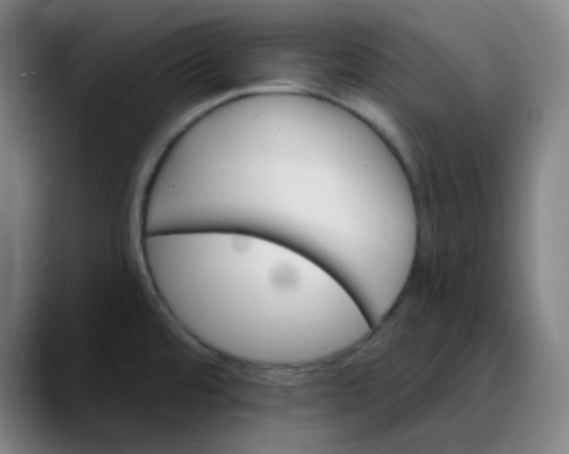 X0000089721480200707121422