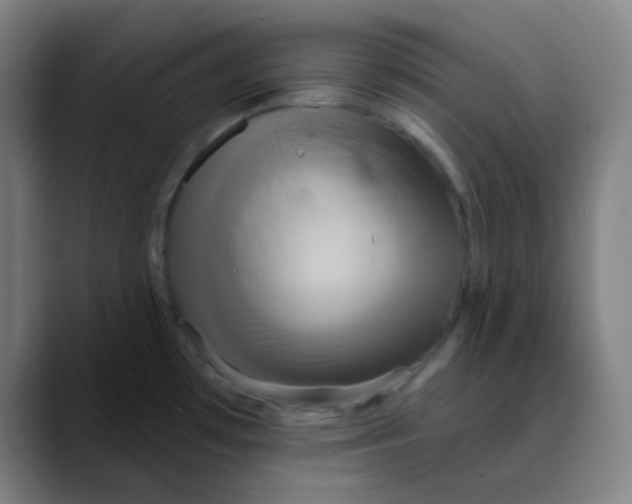 X0000089721481200707121422