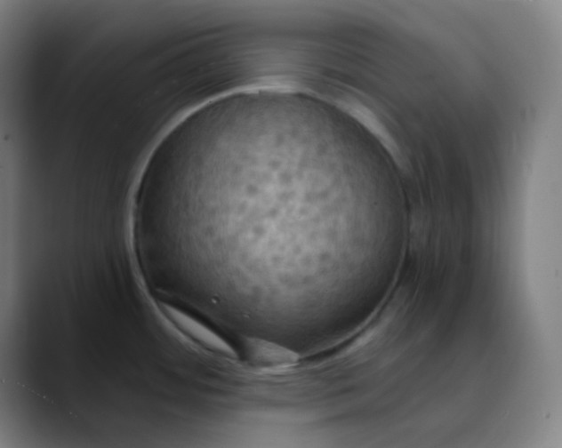 X0000089721484200707121422