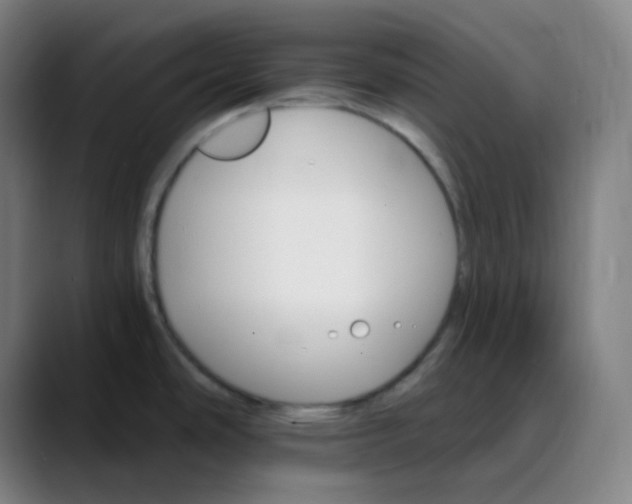 X0000089721486200707121422