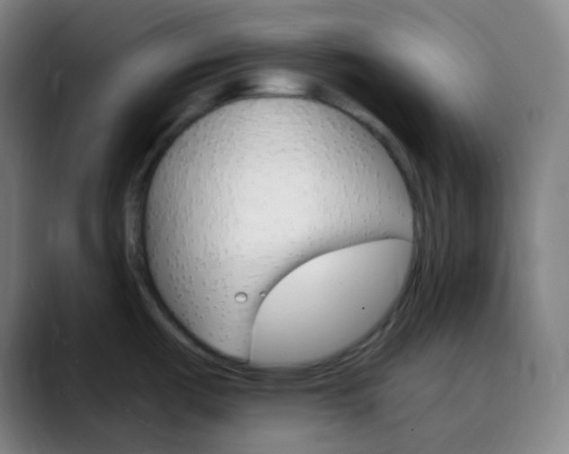 X0000089721487200707121422