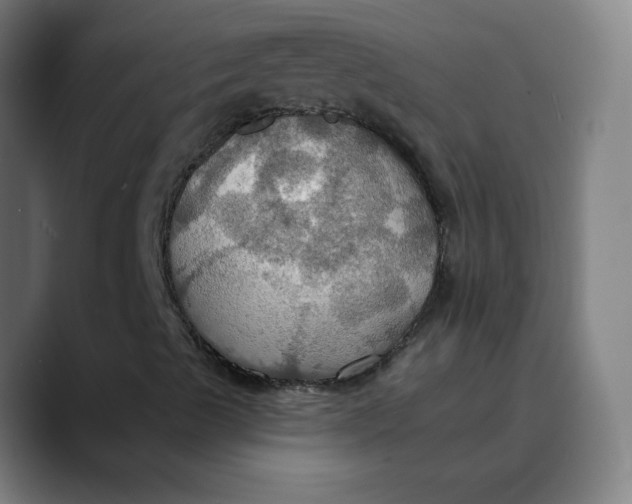 X0000089721489200707121421