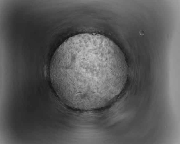 X0000089721490200707121421