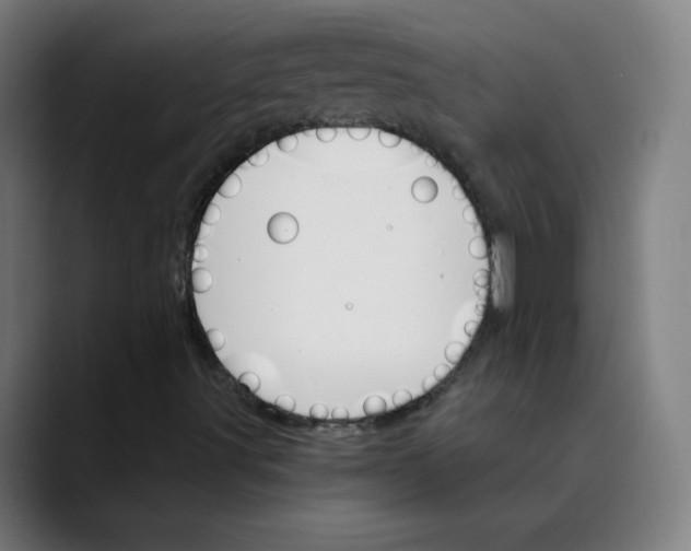 X0000089721491200707121421