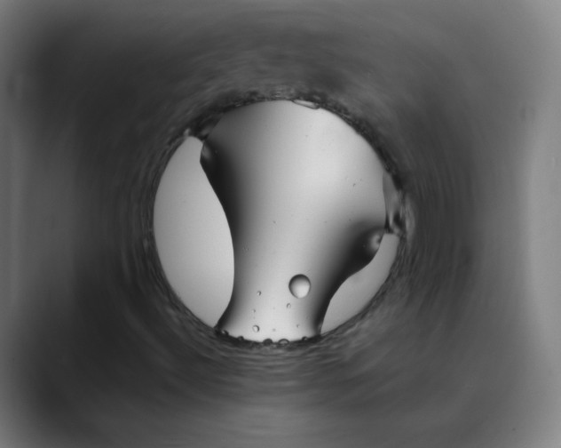 X0000089721492200707121421