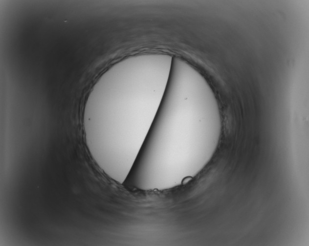 X0000089721494200707121421