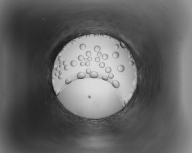 X0000089721495200707121421