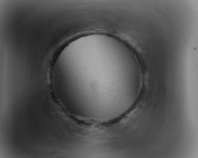 X0000089721496200707121421