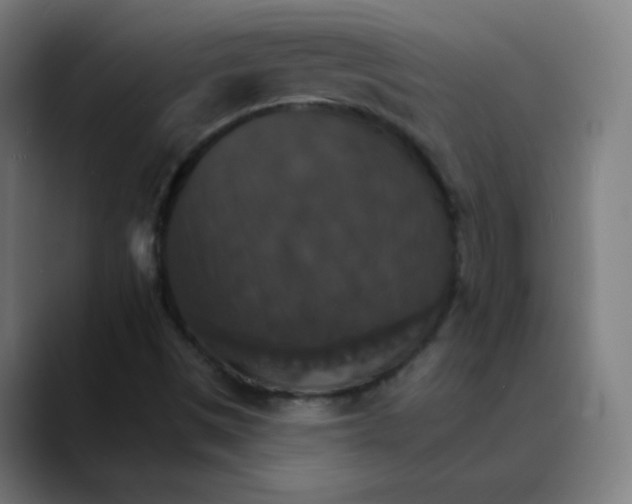 X0000089721497200707121421