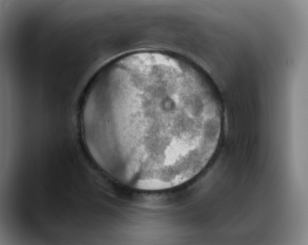 X0000089721501200707121421