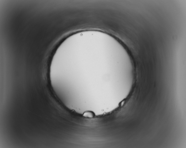 X0000089721502200707121421