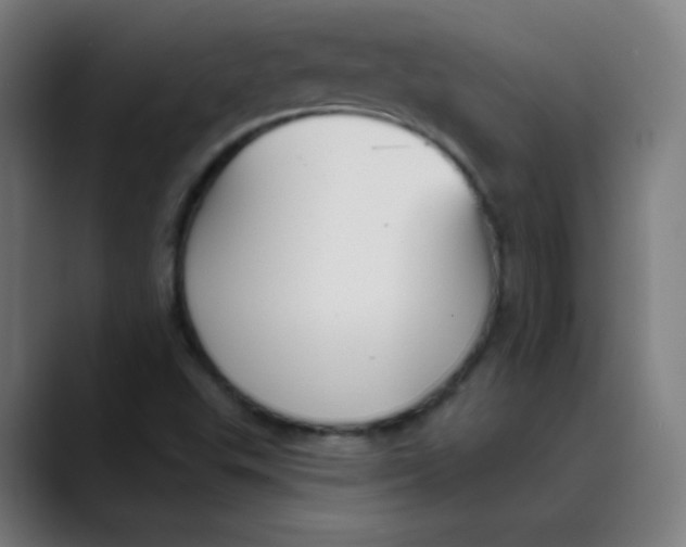 X0000089721503200707121421