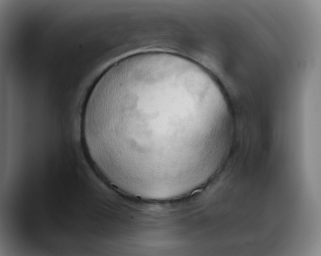 X0000089721504200707121421