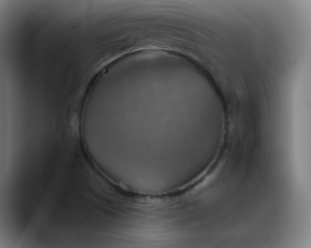 X0000089721505200707121421