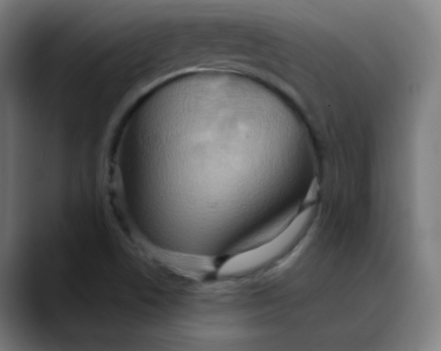 X0000089721506200707121421