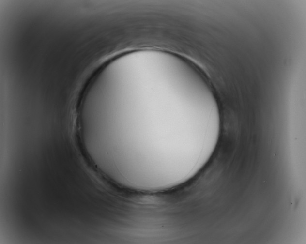 X0000089721507200707121421