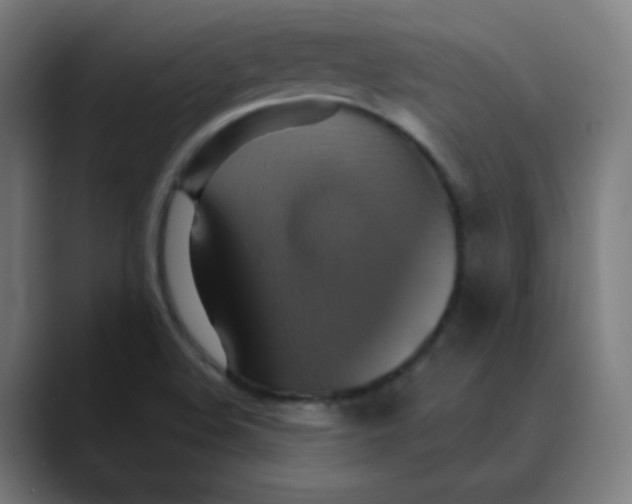 X0000089721508200707121421