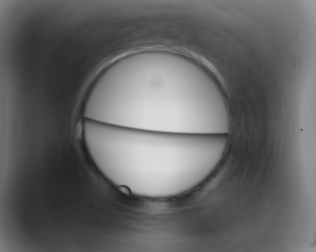 X0000089721509200707121421