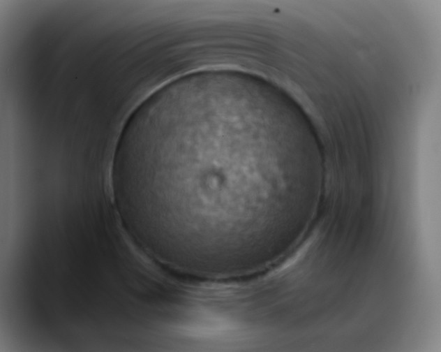 X0000089721513200707121421