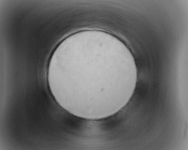 X0000089721514200707121421