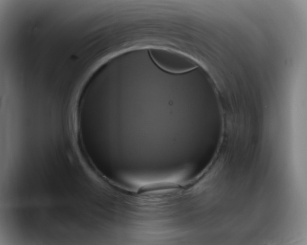 X0000089721515200707121421