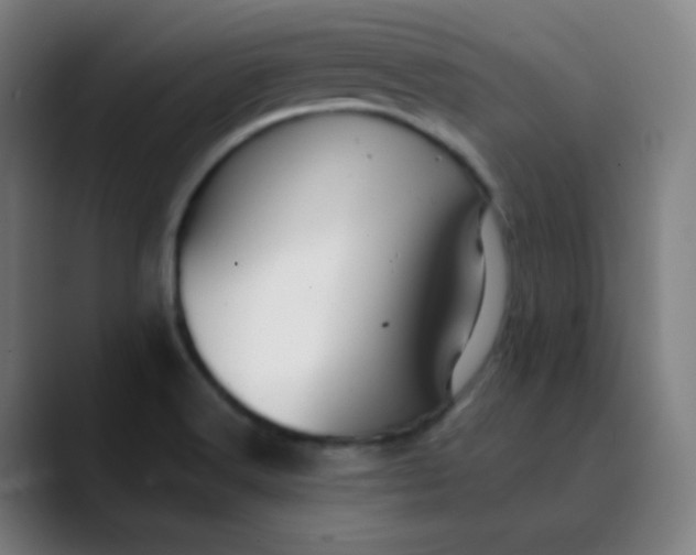 X0000089721516200707121421