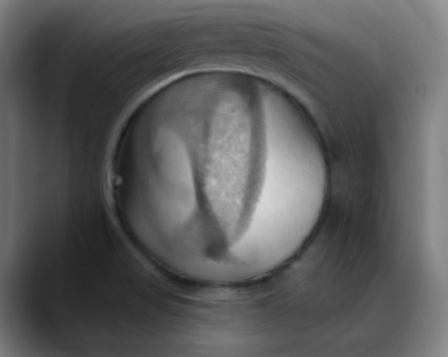 X0000089721517200707121421