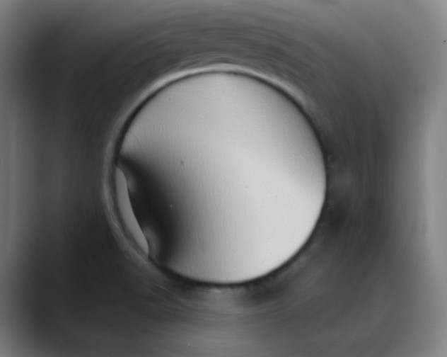 X0000089721518200707121421