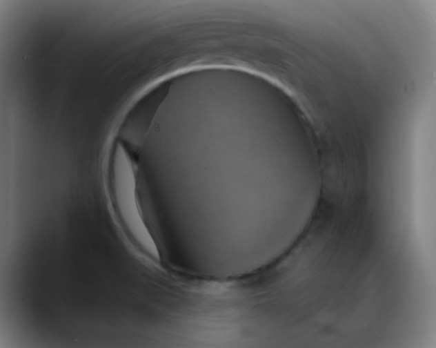 X0000089721519200707121421