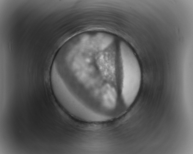 X0000089721521200707121421