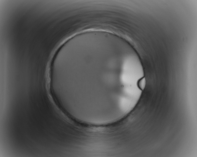 X0000089721522200707121421